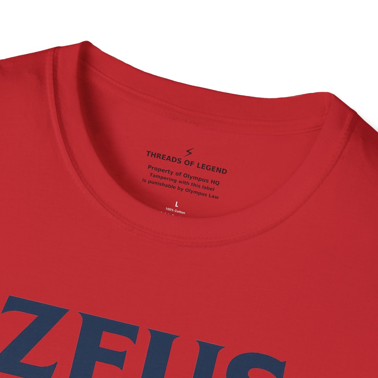 Zeus Power Company T-Shirt | Unlimited Energy Since 776 BC