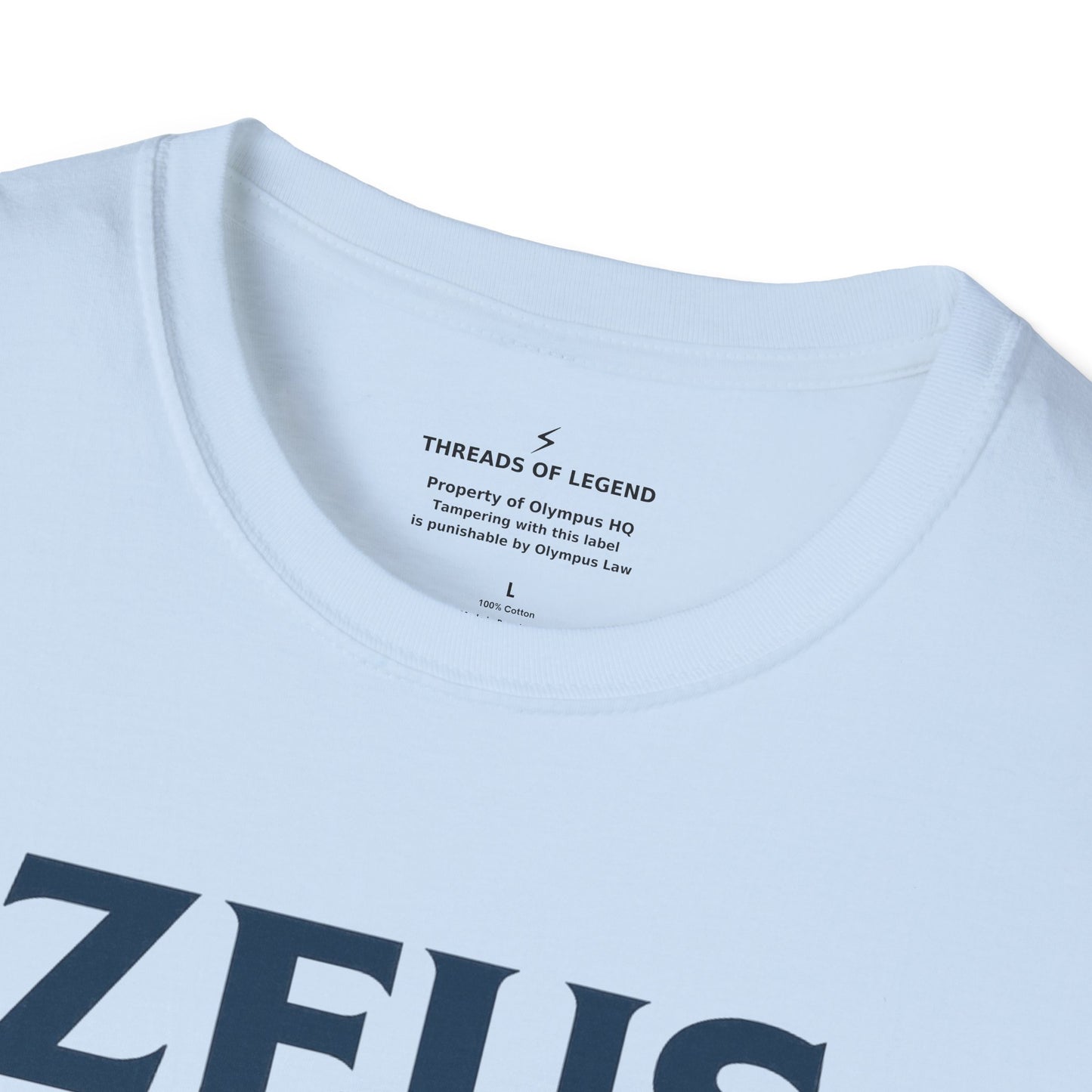 Zeus Power Company T-Shirt | Unlimited Energy Since 776 BC