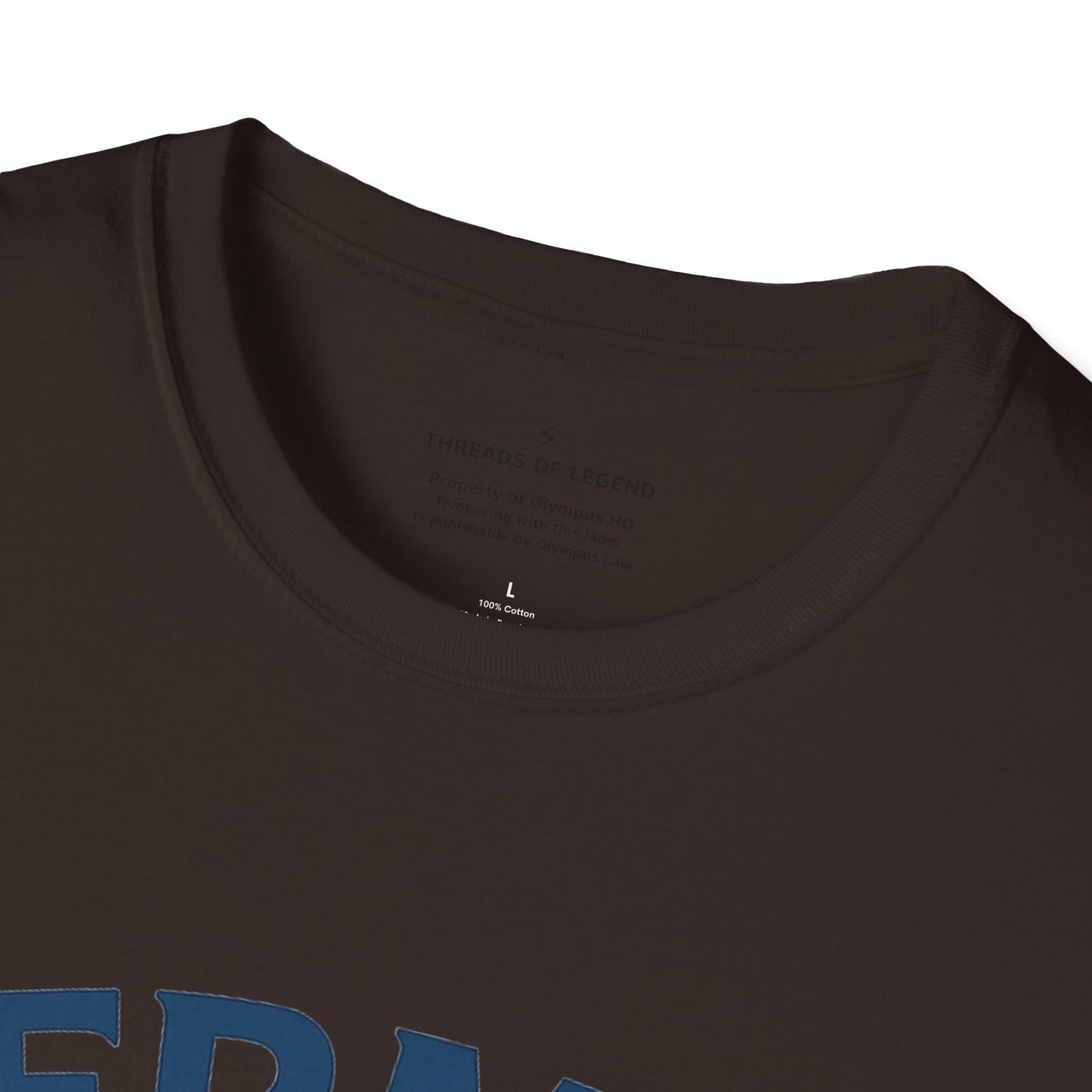 Lightning Fast Delivery T-Shirt | Lightning Fast Delivery